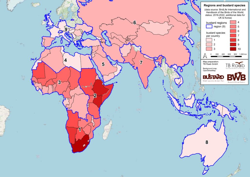 bustard regions overview 20260608